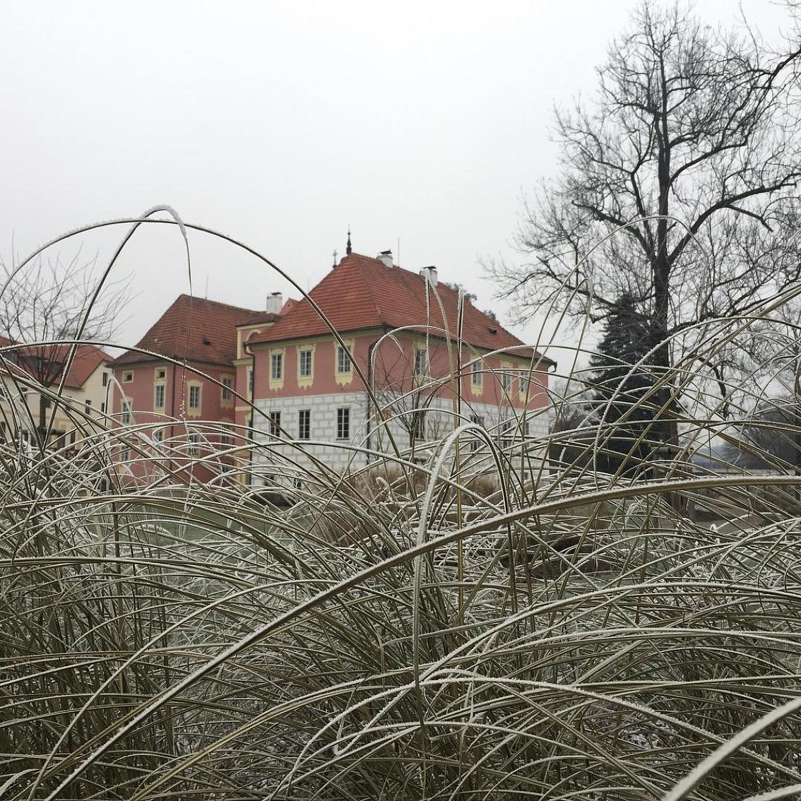 Stezka Vltavy on Instagram: “Za lehce promrzlou flórou stojí těžce odvedená práce. Srdíčko za odvedenou záchranu a rekonstrukci. Podtrhnuté získaným oceněním Fénix za…”